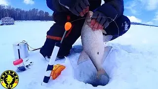 РАЗДАЧА ЛЕЩА НА ОБИ! РЫБАЛКА НА КОМБАЙНЫ.