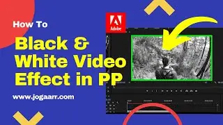 Quick Black and White Video Effect  in Adobe Premiere Pro - Convert video into black and white in PP