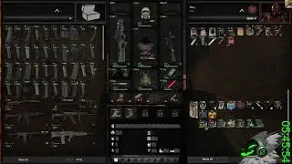 NEW RIFLE TIER LIST (short stream am ded :( ) | S.T.A.L.K.E.R GAMMA Ironman