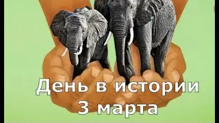 3 марта.  День в истории.