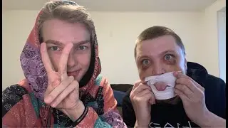 Панда - исчезающий вид