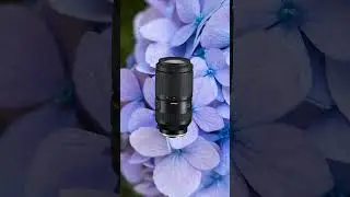 Découvrez les offres de printemps chez Tamron!