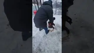 После зимы потекла ли ржавчина из бассейна?