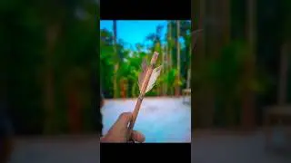 Wooden Creation 