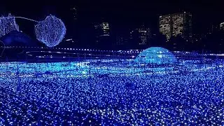 Weihnachten in Japan | Tokio Weihnachtsmarkt und der schönste Lichterzauber | VLOG | Deutsch