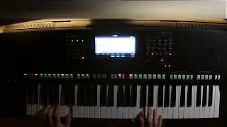 Yamaha PSR s775 Алсу Зимний сон