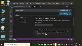 Enable Visual Studio CODE Mouse Scroll Wheel Zoom In and Out (and GUI Zoom)