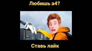 Картун кэт напал на влада а4 в реальной жизни/картун кэт следит за а4