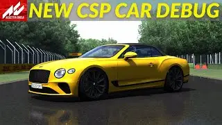 NEW CSP CAR DEBUG Guide - 1.80/346 - Flex Physics - Lighting - Damage - Assetto Corsa 2023