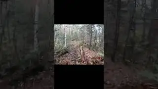 Катайся пока молодой!