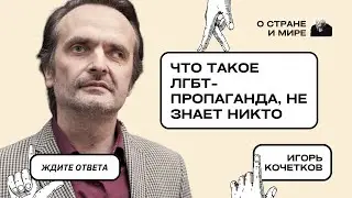 Игорь Кочетков: Что такое ЛГБТ-пропаганда, не знает никто