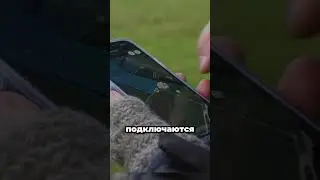 Пасти животных из дома? Реальность! 