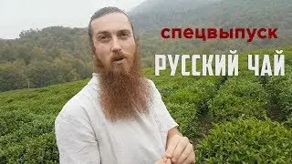 Русский чай. Краснодарский чай. Фермерское хозяйство в окрестностях Сочи.