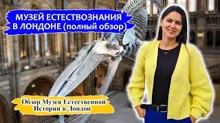 Музей естествознания в Лондоне | Обзор музея естественной истории в Англии!