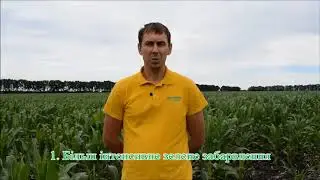 Вплив препаратів від групи компаній 