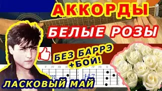 БЕЛЫЕ РОЗЫ Аккорды 🎸 ШАТУНОВ ЮРИЙ ЛАСКОВЫЙ МАЙ Разбор песни на гитаре ♫ Гитарный Бой ДЛЯ НАЧИНАЮЩИХ