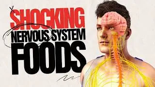 You Won’t Believe How These Foods Affect Your Nervous System!