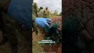 Спасли животное 😮