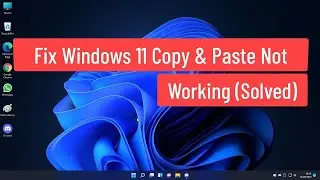 How To Fix Copy & Paste Not Working In Windows 11