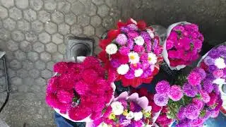 Цветочный базарчик. Жилгородок. Астрахань.