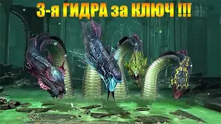 ✔️RAID: Shadow Legends 3-я ГИДРА ЗА КЛЮЧ ! РАЗБОР ПАЧКИ !!!