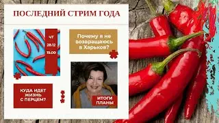 Почему я не возвращаюсь в Харьков. Что будет с каналом Жизнь с Перцем?