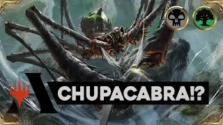 SKYFISHER SPIDER Golgari Midrange | Magic the Gathering: Arena Standard Deck