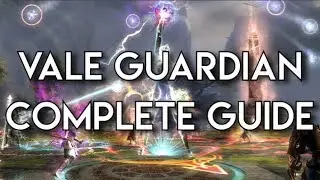 GW2 Raid Guide : Vale Guardian!
