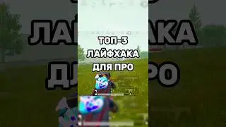 Как вам фишки?) 🫠