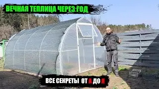 Сверхурожайная ТЕПЛИЦА. ПРОСТОЙ СЕКРЕТ! Результат вас поразит!