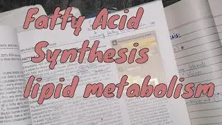 Fatty acid synthesis | Lipid metabolism |  with key points in Hindi/Urdu | 2020