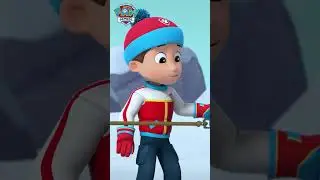 Everest's Rescues a Boat from Ice! - #PAWPatrol #shorts UK