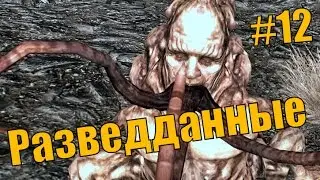 Прохождение сюжета Fallout New Vegas #12 Разведданные