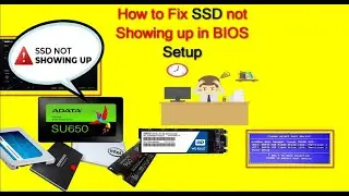 How to Fix SSD Not Showing up in BIOS