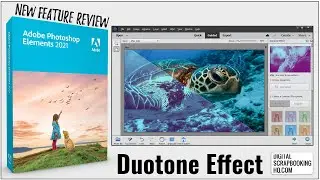 Duotone Effect Guided Edit in Photoshop Elements 2021