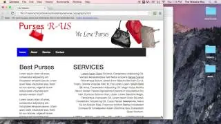 Bootstrap Tutorial Complete Course #11 How to Hide and Show Elements