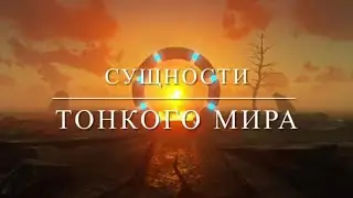 Сущности Тонкого Мира. Кто такие Сущности? Признаки порчи. Магическое Развитие.Признаки подселения.