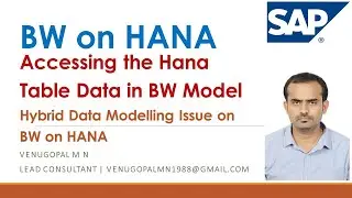 Data Modelling Issue on BW on HANA : Hybrid Modelling : Accessing the Hana Table Data in BW Model