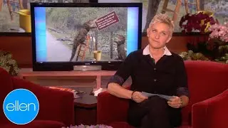 What’s Wrong with These Signs? Crocodile Edition (Season 7)