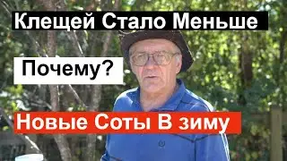 Пасека#132 Готовые Новые соты в зиму от сильной семьи  /  Пчеловодство для начинающих