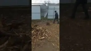 Вот это петарда🔥.Взорвали пень, а заодно и забор.🤦‍♂️