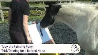 Toby the Painting Pony! Trick training for fun and enrichment with a retired horse.