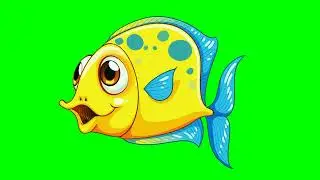 Zoom in Fish Green screen #copyrightfree #free #chromakey #fish #animation