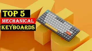 Top 5 Gaming Mechanical Keyboards 2024 | BEST Gaming Mechanical Keyboards | Review Vid Express