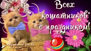 🐱🐾 С Днем Кошек!  Всех Кошатников с праздником! Красивое поздравление с Международным Днем Кошек!