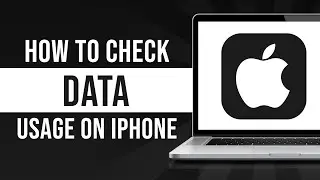 How To Check Data Usage On iPhone (Tutorial)