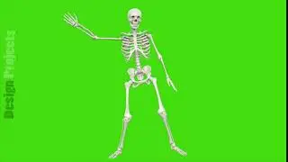 Skeleton dancing. Seamless loop animation on green screen.