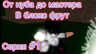 От нуба до про в блокс фрут серия#1