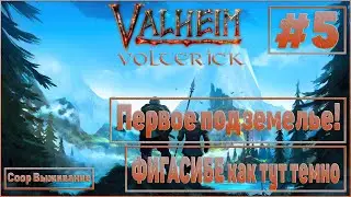 Valheim #5 Coop-выживание - ПЕРВОЕ ПОДЗЕМЕЛЬЕ!