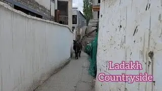 Ladakh Countryside, Northern India